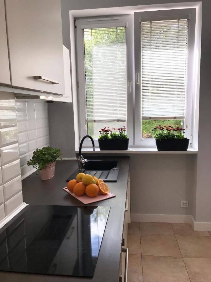Klimatyczny Apartament Pod Ratuszem -Ul. Slaska 2 เชสโตฮอวา ภายนอก รูปภาพ